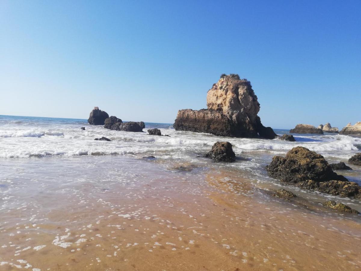Rocha Praia Mar Beach Front Line Bay بورتيماو المظهر الخارجي الصورة
